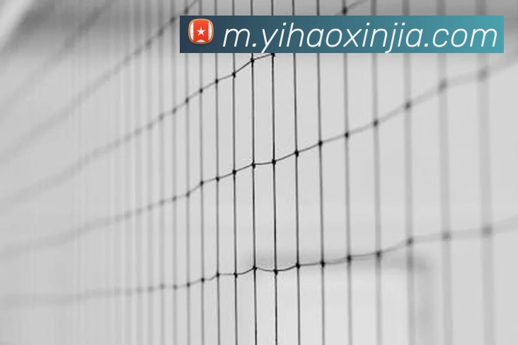 壹号国际APP 体育赛事宣传图